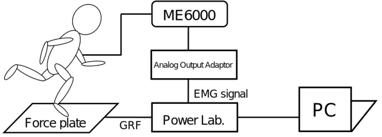 Figure 2-5． Schematic representation of experimental set up for GRF and EMG activation  during the cutting maneuver 