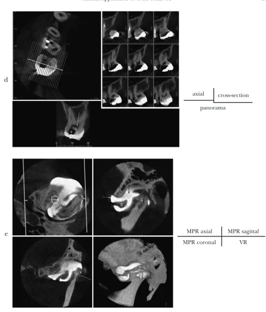 Fig. 5 Clinical cases