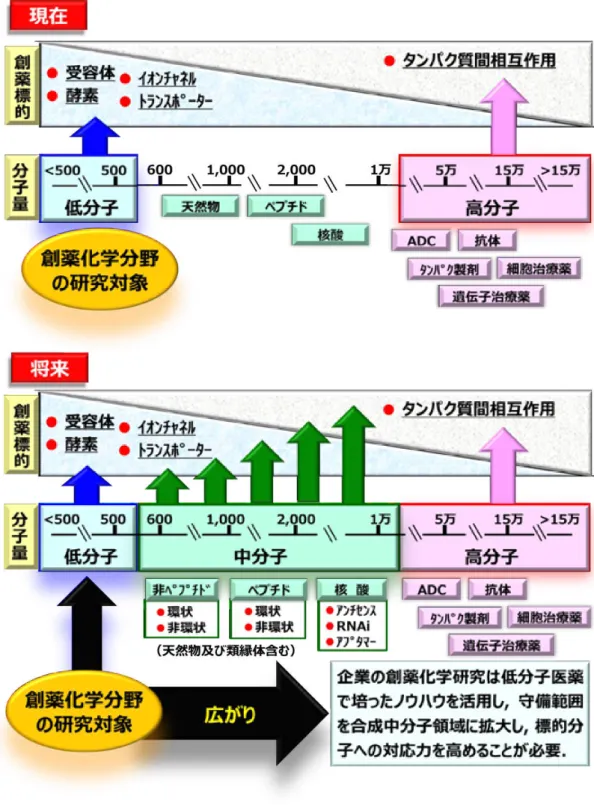 図 39 創薬化学分野で対象となるモダリティ:  低分子から中分子へ 