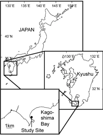 Fig. 1 Map showing the study site in Yamagawa, Ibusuki City, Kagoshima Prefecture, Japan.