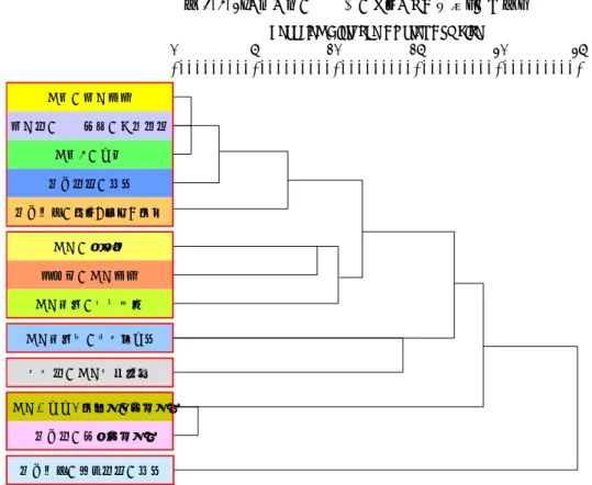 図 3-4-1 より、6 つのグループに分類される段階からみてみると、1 つめのグループは、 「医療に対す る保険料の負担額」 、 「診察時の自己負担額」 、 「医療の公平性」からなり、負担と公平性に関わるグルー プである。公平性は負担の項目と同じグループとして認識されている。 2 つめのグループは、 「医療機関 の情報開示」 、 「最先端の医療技術」 、 「医師の治療技術」 、 「医師との対話」 、 「治療時の患者自身の意思尊 重」 、 「診察時間の長さ」からなり、医師の診療に関する裁量に関わるグループで