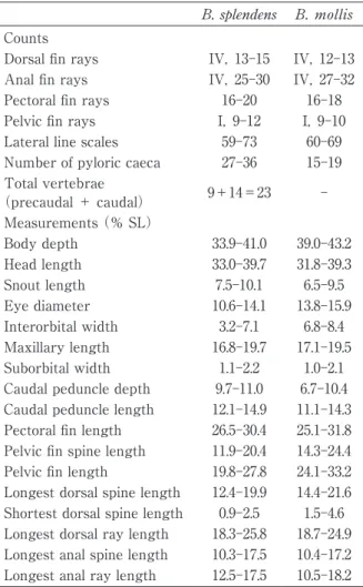 Table １ Counts and measurements, expressed as a  percentage of standard length, of Beryx splendens  and B