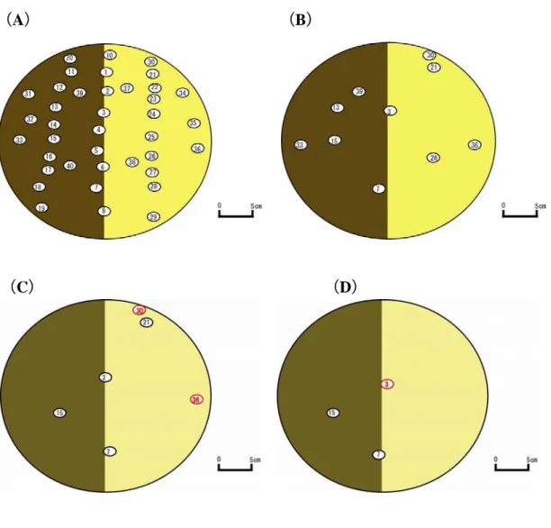 Figure shows experiment start (A), after 1 day (B), after 3 days (C), after 5  days (D) and after 6 days (E).