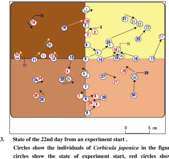Table 6.    Moving speed of Corbicula japonica per day in a pattern 2. 