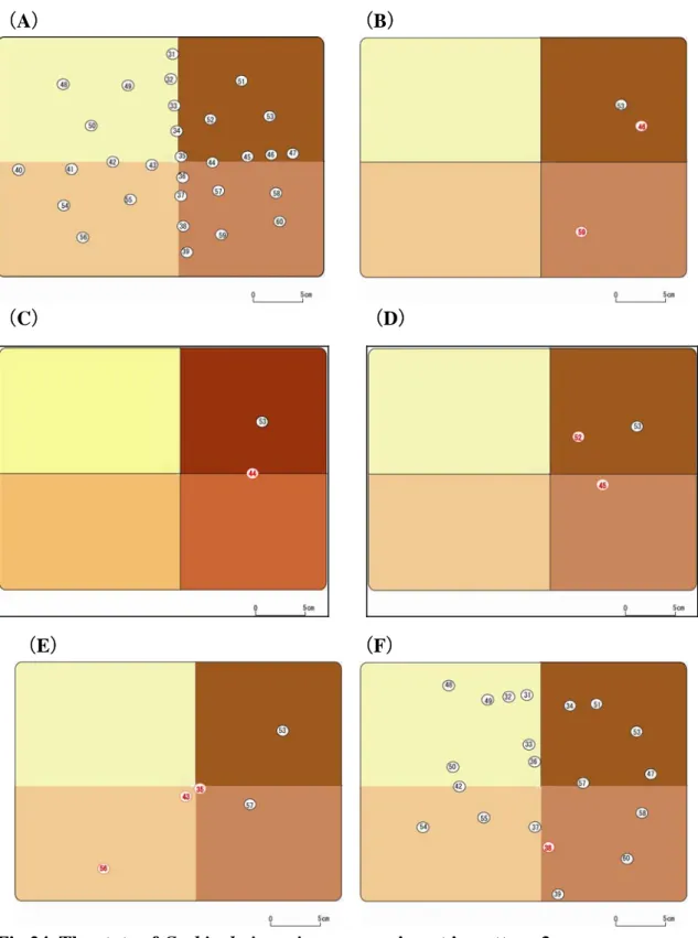 Figure shows experiment start (A), after 14 days (B), after 20 days (C), after  27 days (D), after 28 days (E) and after 29 days (F).