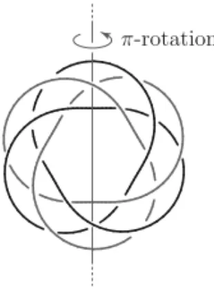 Figure 2 – Two-component torus link and its axis of a strong inversion