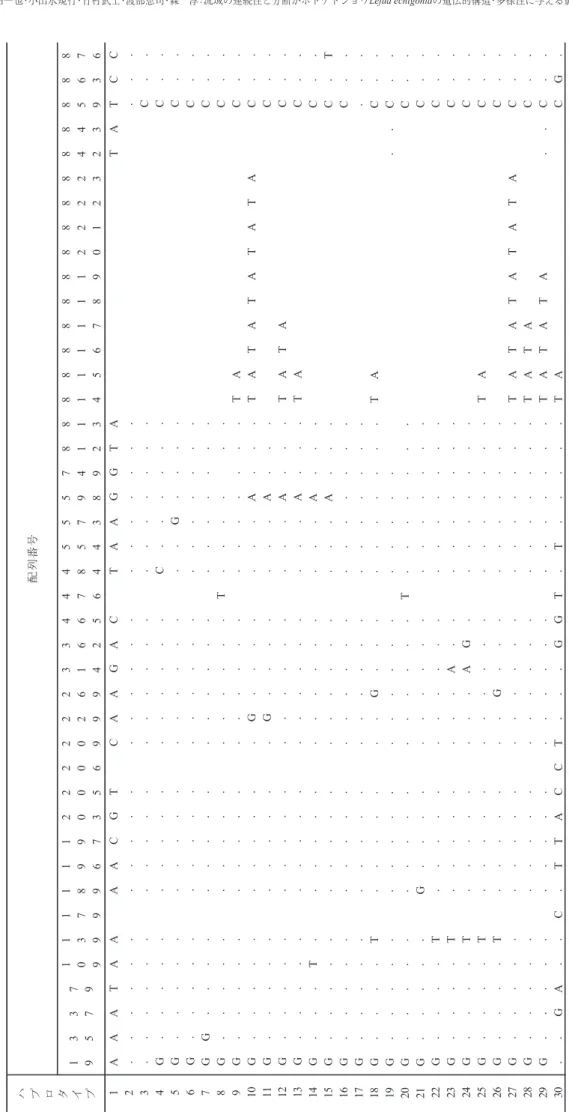Table 1 検出されたハプロタイプの多型サイト（スペースはギャップを，ドットはHap 1と同じ塩基であることを示す。） Variable sites of 30 Haplotypes