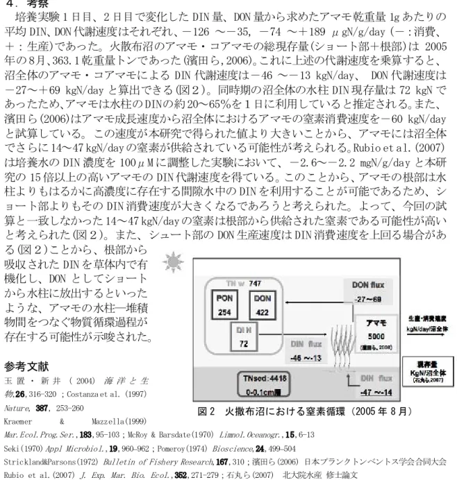 図 2  火撒布沼における窒素循環（2005 年 8 月）