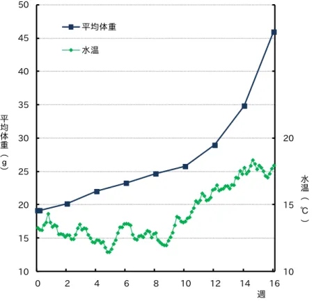 図 1  平均体重の推移  図 2  日間給餌率の推移                      図 3  飼料効率の推移  （２）B 産人工種苗  試験成績を表 4 に、平均体重の推移を図 4 に示した。  24 週間の試験期間中の水温（午前 9 時、水深 2m）は、 11.1～ 23.0℃の範囲で 8 週目から 20 週目までは 15℃以下の低水温が続き、その後徐々に水温は上昇した。成長及び飼料効率は 水温の推移に良く連動しており、水温が 17℃以上であった開始時から 8 週目までと 21 週目以 降は