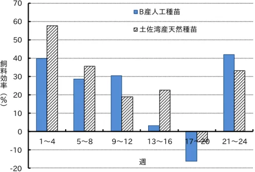 図 5  飼料効率の推移  試験期間を通じての日間給餌率に差は見られなかったが、増重率、飼料効率は対照区が優っ ていた。また、両試験区とも生残率は 70％台であったが、これは低水温が続いた 13～ 20 週目 のエラムシ症とノカルジア症による死亡である。   以上の結果から、B 産人工種苗は土佐湾産天然種苗に比べて飼育成績が劣り、同じ魚病に起 因する死亡率が高かったことから、抗病性や低水温耐性が低い傾向が見られた。   なお、カンパチ養殖では冬季の低水温時期における飼育成績の悪化が懸念されているが、そ の傾