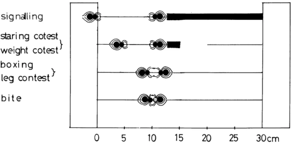 Fig. 4. Spatial intervals on each interferential behavior between weavers in the investigation  area