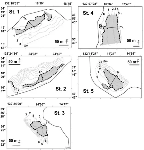 Fig. 3.  Topography and distribution of 5 Zostera populations (St.1-St.5) surveyed by a sonar in  this study