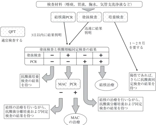 図 5 結核の検査ならびに治療の流れ（文献 8より転用・改変） 表 2  肺ならびに肺外結核の新登録患者数（2009年） 1 人で 2 つ以上の結核を合併している例があり，各病類 の新登録数は重複して数えられている。 （財団法人結核予防会結核研究所疫学センター：結核の 統計 