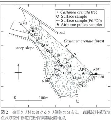 Fig. 2 Map showing the distribution of Castanea crenata  trees and sampling points at Kaneme in Oguni, Yamagata.