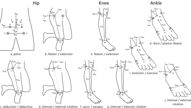 Figure  VIII—1.  Definition  of  the  coordinate  system  of  the  hip,  knee  and  ankle  joints  (reproduced from Kariyama et al