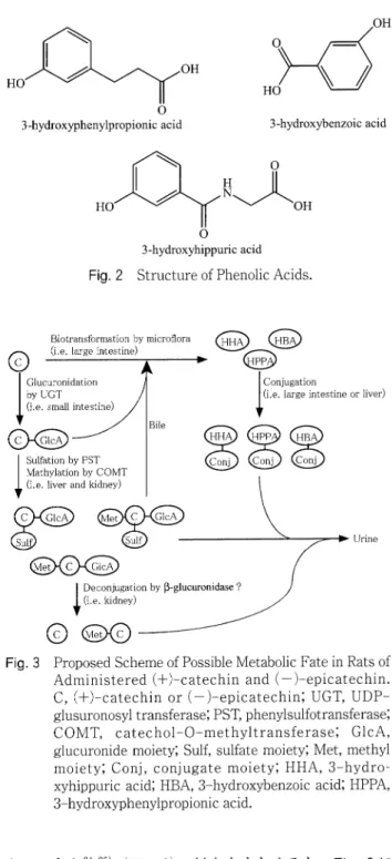 Fig.  2  Structure  of  Phenolic  Acids.