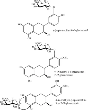 Fig.  5  Structures  of  Plasma  Epicatechin  Metabolites  in  Humans.