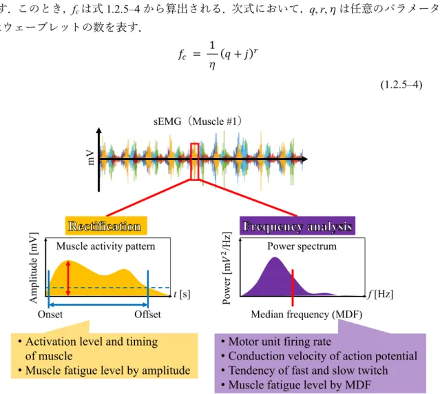 Figure 1.2.5–1: Rectification of the sEMG and frequency analysis. The sEMG envelop (on the left),  which represents activation pattern of the muscle #1 (in the red box), is obtained through rectification  procedure