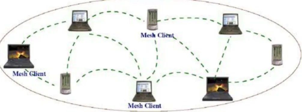 Figure 2.5: Client meshing [25].