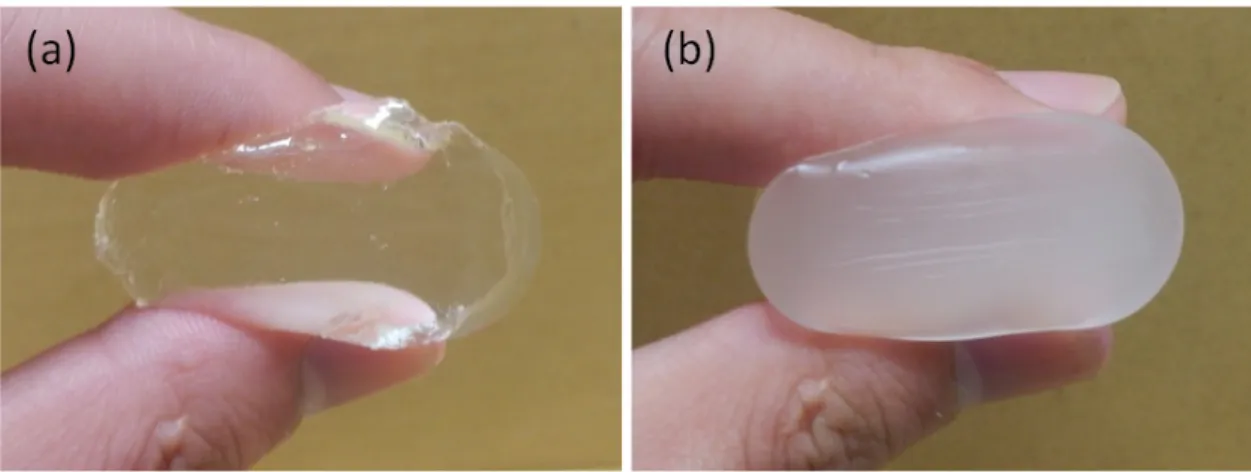 Figure 2-2 PNIPA ゲルの写真 (a)  シリカ無し、 (b) 3D10 のシリカ粒子を添加。
