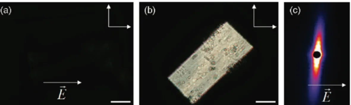 Figure  15.  Optical  textures  in  polarized  light  microscopy  and  SAXS  pattern  of  fluid  nematic      samples  of  beidellite  suspensions  (ionic  strength  of  10-5  M/L  and  φ=0.61%)  in  a  1  mm  cylindrical glass capillary aligned in a 4 × 1