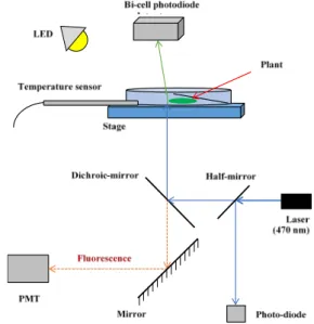 Figure  1  showed the details of the construction of the optical 