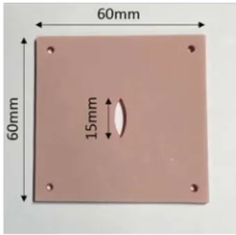 Fig. 8 The sutured enteric canal sheet 
