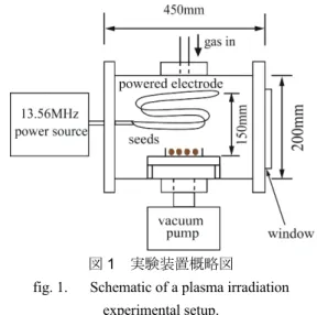 fig. 1.    Schematic of a plasma irradiation  experimental setup. 