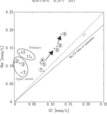 Figure 5. Relationship between sodium and chloride concentrations in the Fang river basin.