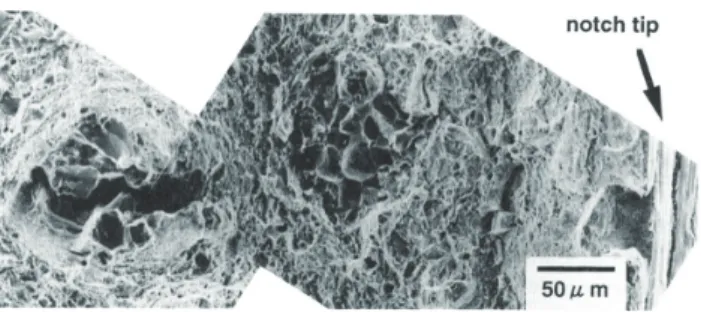 図 10  限界水素量測定試験におけるき裂発生と破断時間の Relationship between initial crack and rupture time in the 関係 test of Hc evaluation