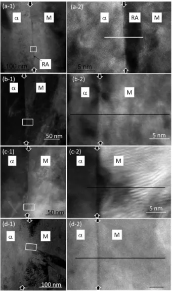 図 1　フェライト界面近傍の STEM 像と EELS 測定位置 STEM  images  near  ferrite/martensite  interfaces  and  positions of EELS measurement