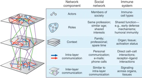 Figure 1  The immune system as a multi-layered social network. The complex interplay among immune  cells resembles in many ways a social network