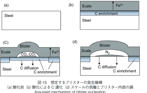 図 15　想定するブリスターの発生機構