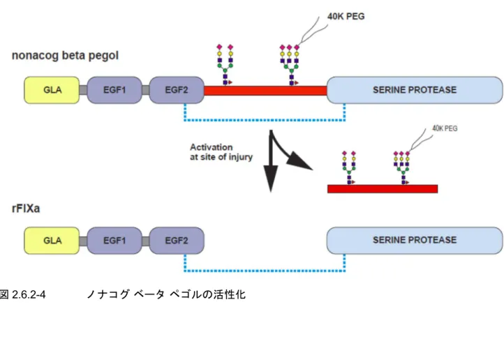 図 2.6.2-4 ノナコグ ベータ ペゴルの活性化