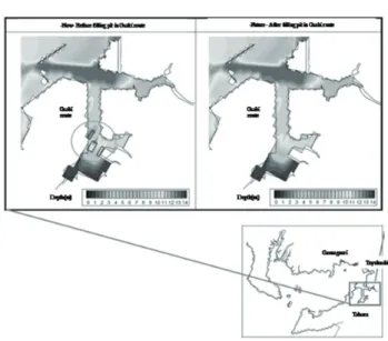 図 11　人工海水中の PO 4 -P の経日変化 3)