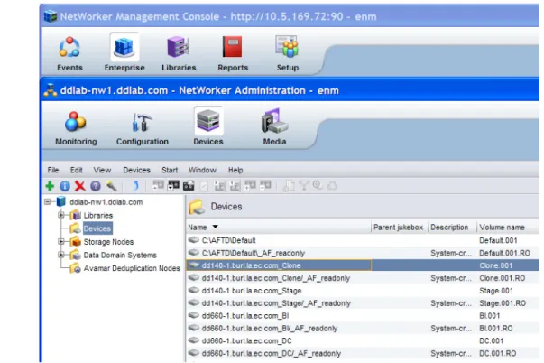 図 9 NetWorker Data Domain デバイス