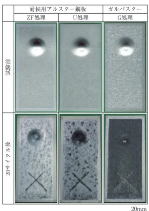Fig. ₇　 Appearance of specimens  at 20 cycles of  accelerated  weathering-corrosion test.