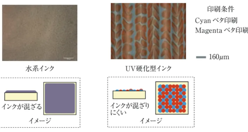 図 4 　印刷後の水系インクとUV硬化型インクの外観比較 Fig. 4 　Appearance comparison of  aqueous inkjet ink and UV curable inkjet ink after printing