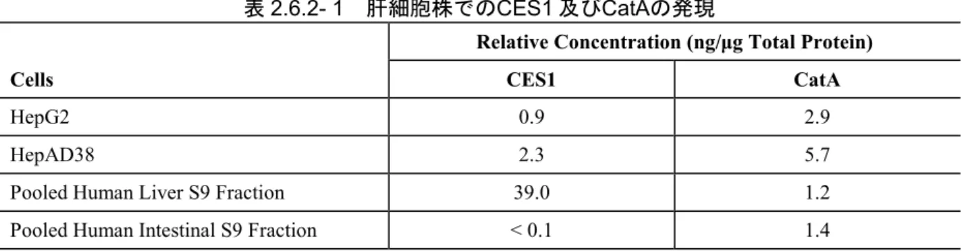 表 2.6.2- 1  肝細胞株でのCES1 及びCatAの発現