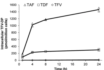 図 2.6.2- 4  ヒト初代肝細胞でのTAF（5 μmol/L）ローディングにおける  細胞内 TFV-DP濃度推移（24 時間インキュベーション） 