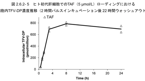 図 2.6.2- 5  ヒト初代肝細胞でのTAF（5 μmol/L）ローディングにおける 