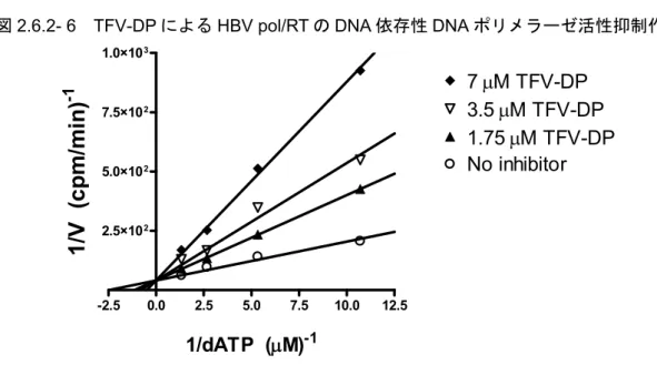 図 2.6.2- 6  TFV-DP による HBV pol/RT の DNA 依存性 DNA ポリメラーゼ活性抑制作用 