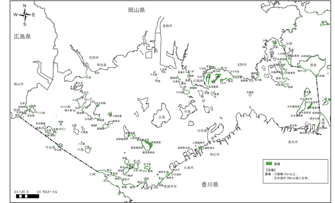 図 2.6    主要な藻場の分布状況