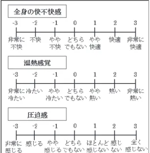 Fig. 5 Subjective declaration paper