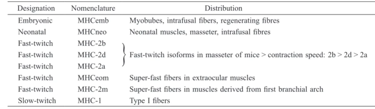 Table 1 Myosin heavy chain isoforms identiﬁed in skeletal muscle