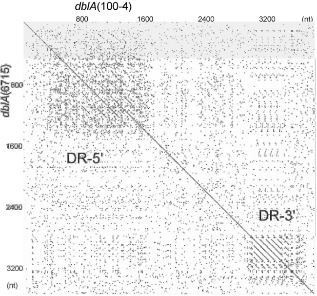 Fig. 1. The Harr plot analysis with the strains 100-4 and 6715  dblA  genes. 