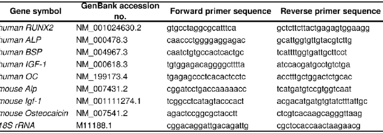 Table 1. Primers used for quantitative real-time PCR. 