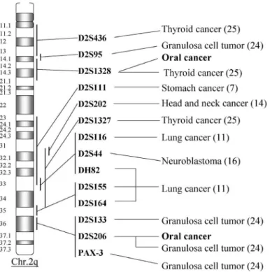 Fig. 3 Commonly deleted regions on 2q in human cancers