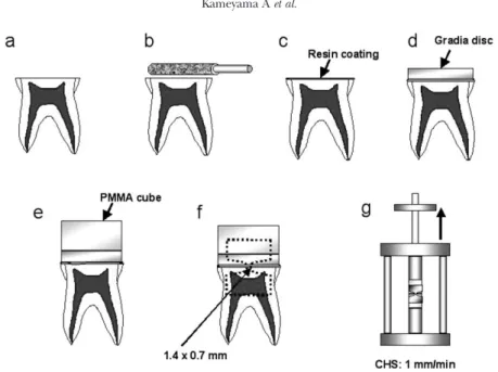 Fig. 1 Schematic of specimen preparation for microtensile bond strength testing