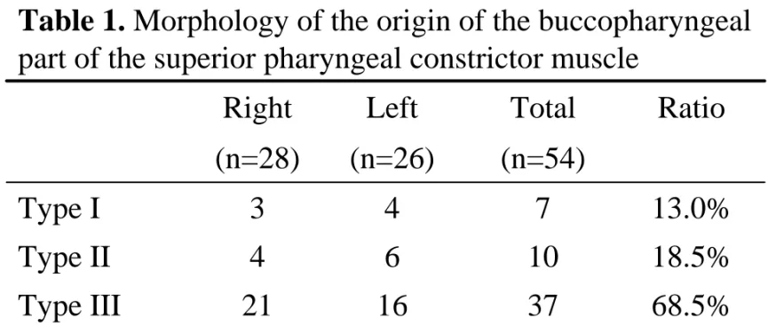 Table 1. Morphology of the origin of the buccopharyngeal part of the superior pharyngeal constrictor muscle